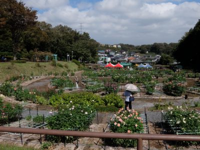 町田ダリア園